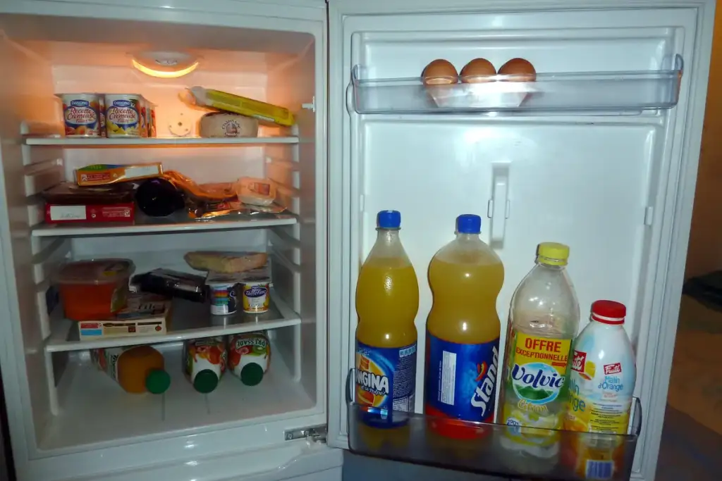 meal prep ideas: Food into a refrigerator - 20111002