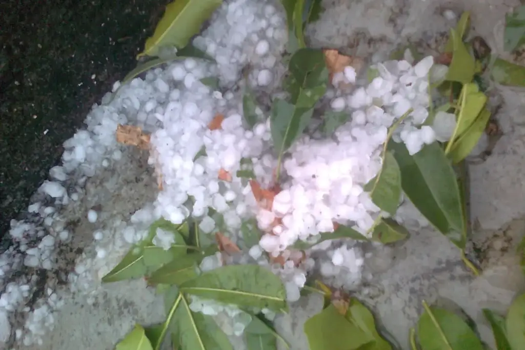 severe thunderstorm watch: Hail stones in Chinawal